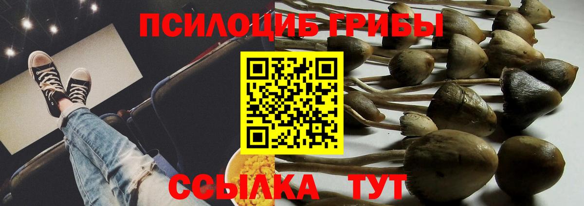 Псилоцибиновые грибы мицелий  Вход с VPN  Псилоцибиновые грибы мухоморы  Воскресенск 